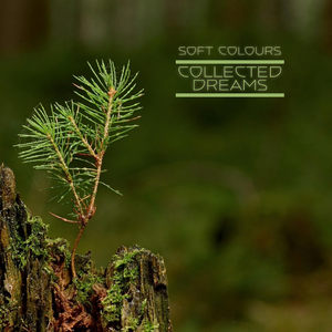 日本小视频在线
