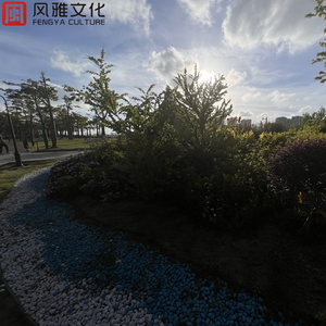 日本小视频在线
